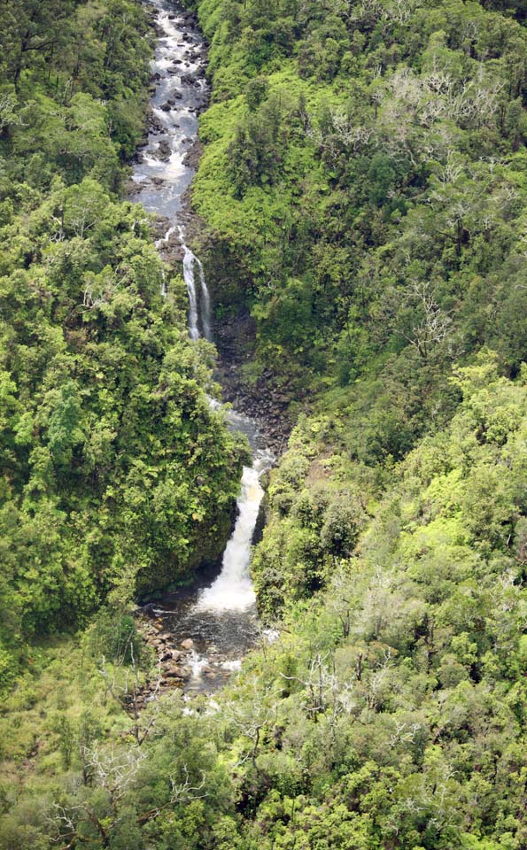 fotografia, materiale, libero il panorama, dipinga, fotografia di scorta,Cascata di Isola di Hawaii, La foresta, pietra, fiume, flusso