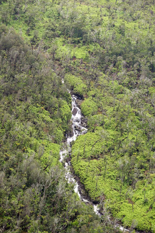 photo,material,free,landscape,picture,stock photo,Creative Commons,Hawaii Island waterfall, The forest, rock, river, flow