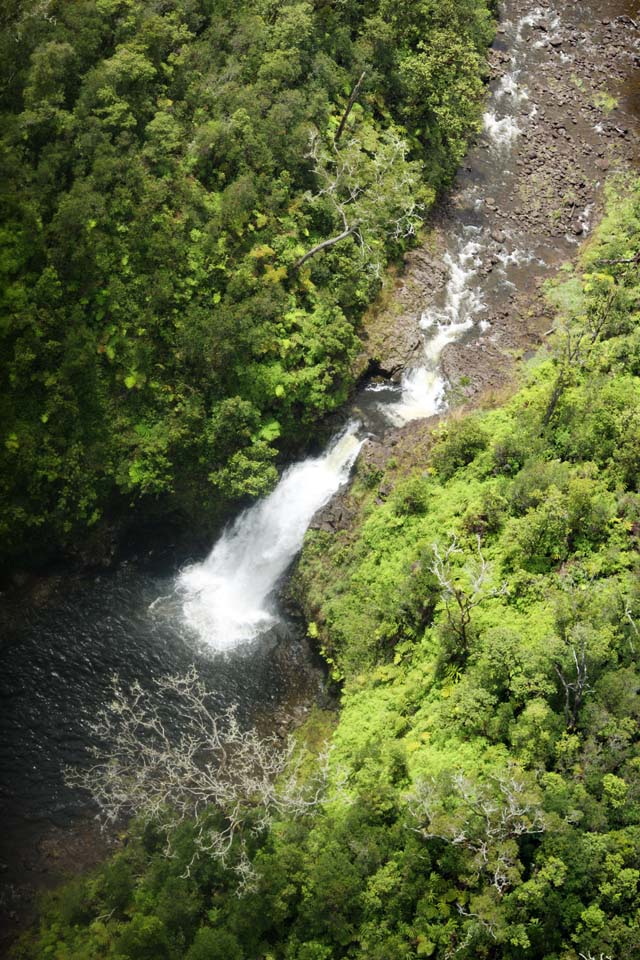 photo,material,free,landscape,picture,stock photo,Creative Commons,Hawaii Island waterfall, The forest, rock, river, flow