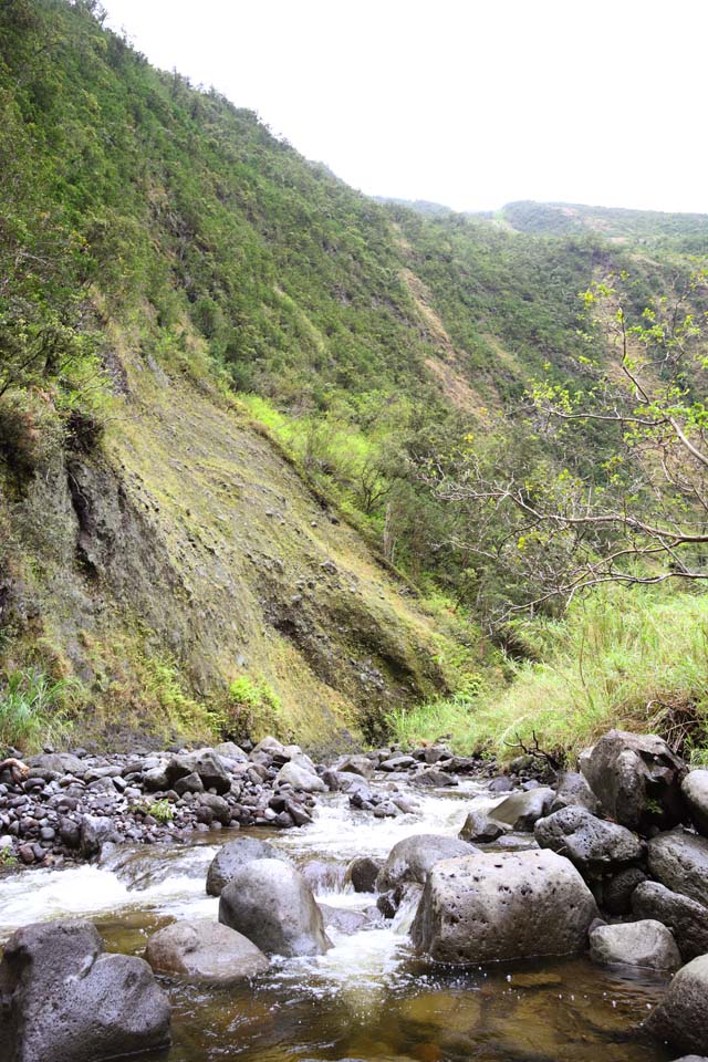 photo,material,free,landscape,picture,stock photo,Creative Commons,Hawaii Island valley, , , , 