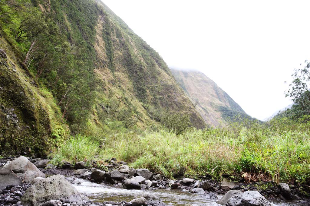 Foto, materieel, vrij, landschap, schilderstuk, bevoorraden foto,Hawaii Island valley, , , , 