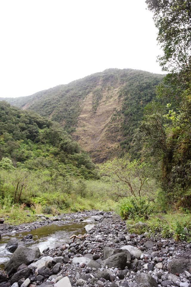 Foto, materieel, vrij, landschap, schilderstuk, bevoorraden foto,Hawaii Island valley, , , , 