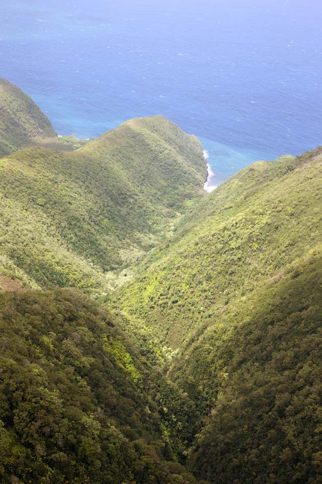 fotografia, materiale, libero il panorama, dipinga, fotografia di scorta,Isola di Hawaii valley, , , , 