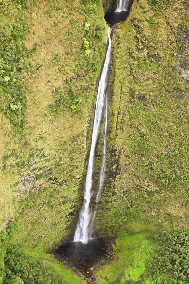 fotografia, materiale, libero il panorama, dipinga, fotografia di scorta,Isola di Hawaii Waimanu Valley, , , , 