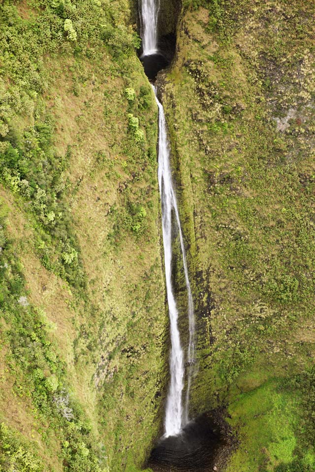 Foto, materieel, vrij, landschap, schilderstuk, bevoorraden foto,Hawaii Island Waimanu Valley, , , , 