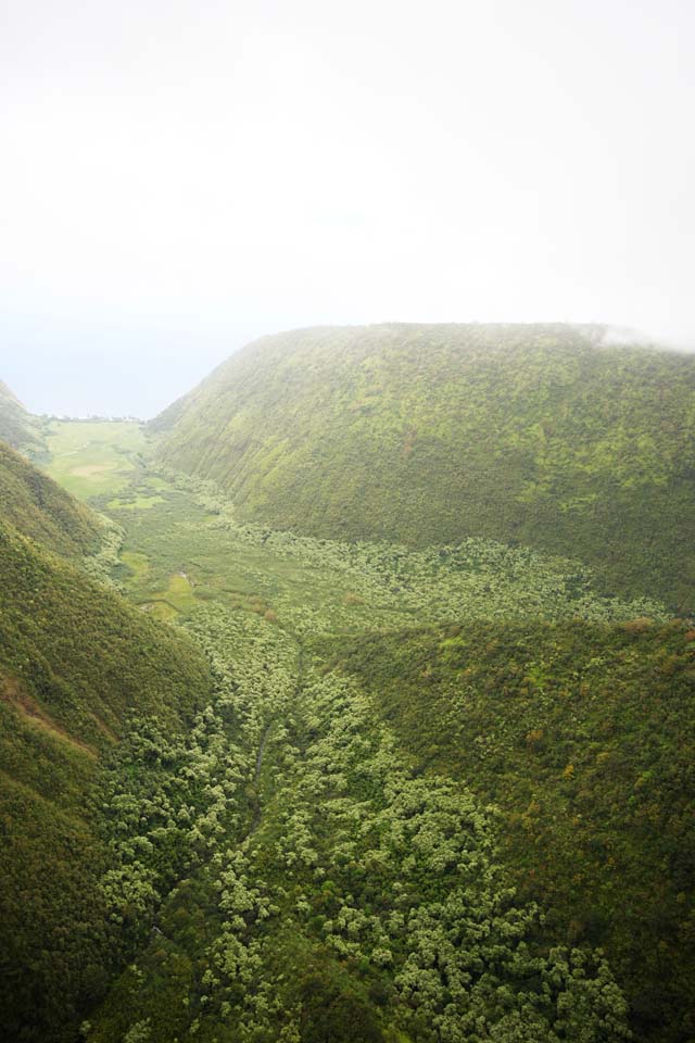 fotografia, materiale, libero il panorama, dipinga, fotografia di scorta,Isola di Hawaii Waimanu Valley, , , , 