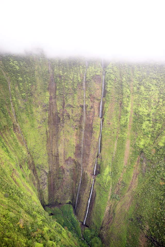 Foto, materieel, vrij, landschap, schilderstuk, bevoorraden foto,Hawaii Island Waimanu Valley, , , , 