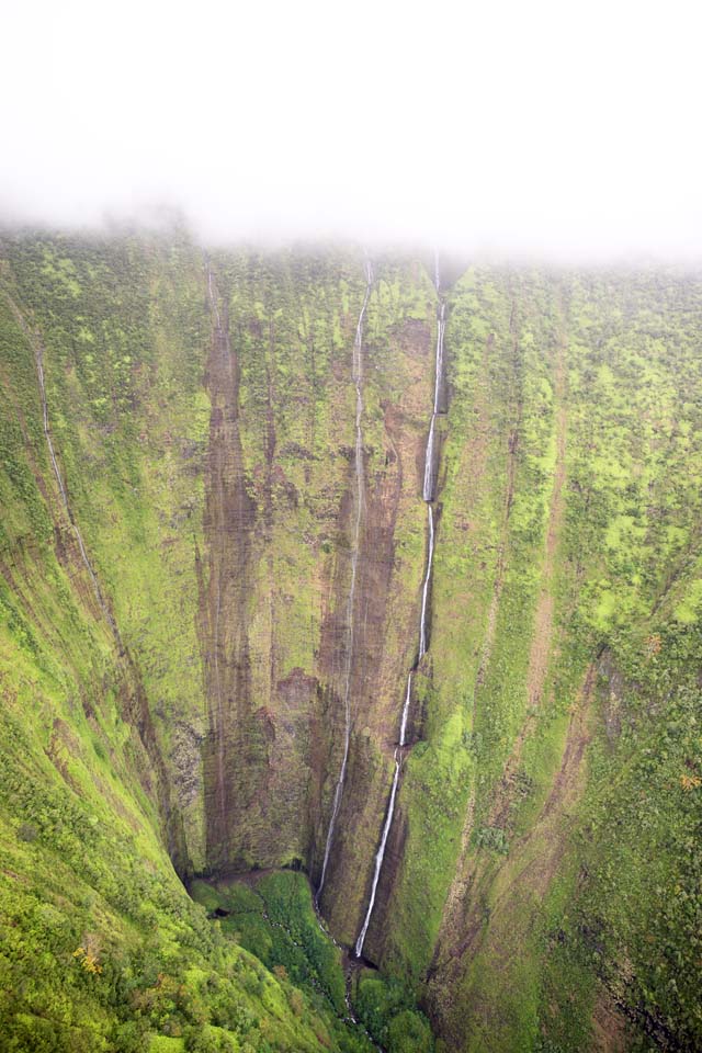 fotografia, materiale, libero il panorama, dipinga, fotografia di scorta,Isola di Hawaii Waimanu Valley, , , , 