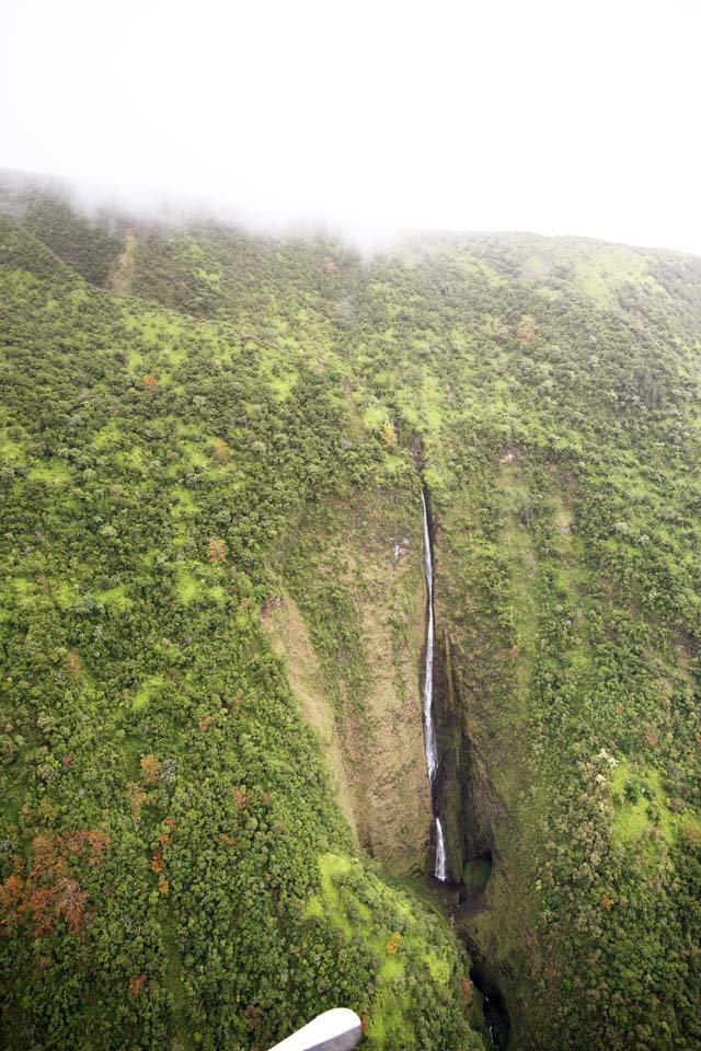 photo,material,free,landscape,picture,stock photo,Creative Commons,Hawaii Island Waimanu Valley, , , , 