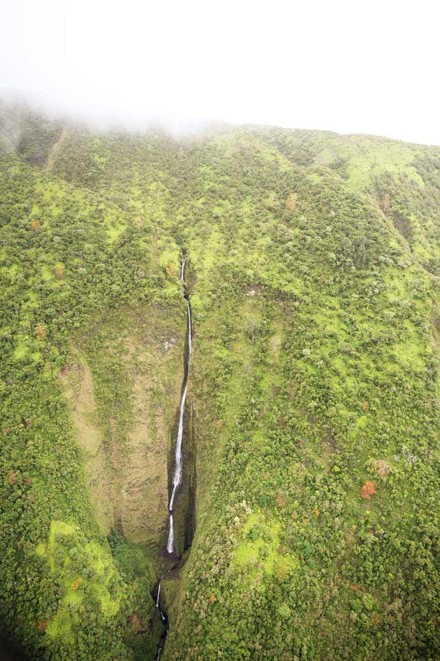 Foto, materiell, befreit, Landschaft, Bild, hat Foto auf Lager,Hawaii Insel Waimanu Tal, , , , 