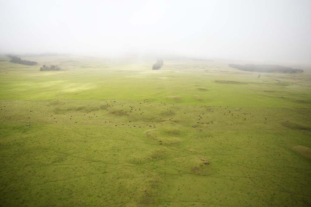 Foto, materiell, befreit, Landschaft, Bild, hat Foto auf Lager,Hawaii Parker Ranch, , , , 