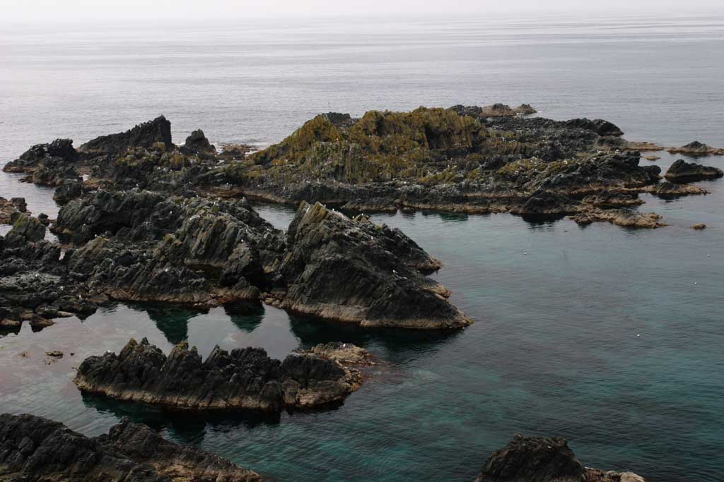 fotografia, materiale, libero il panorama, dipinga, fotografia di scorta,Paradiso di seafowls, costa, rupe, gabbiano, mare