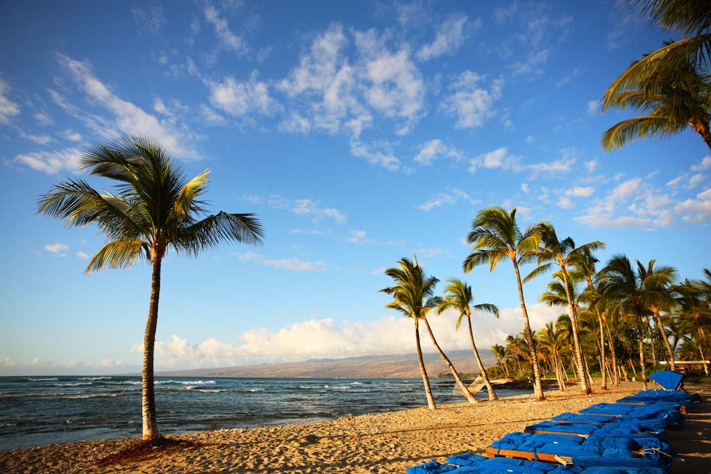 photo,material,free,landscape,picture,stock photo,Creative Commons,Hawaii Island beach, , , , 