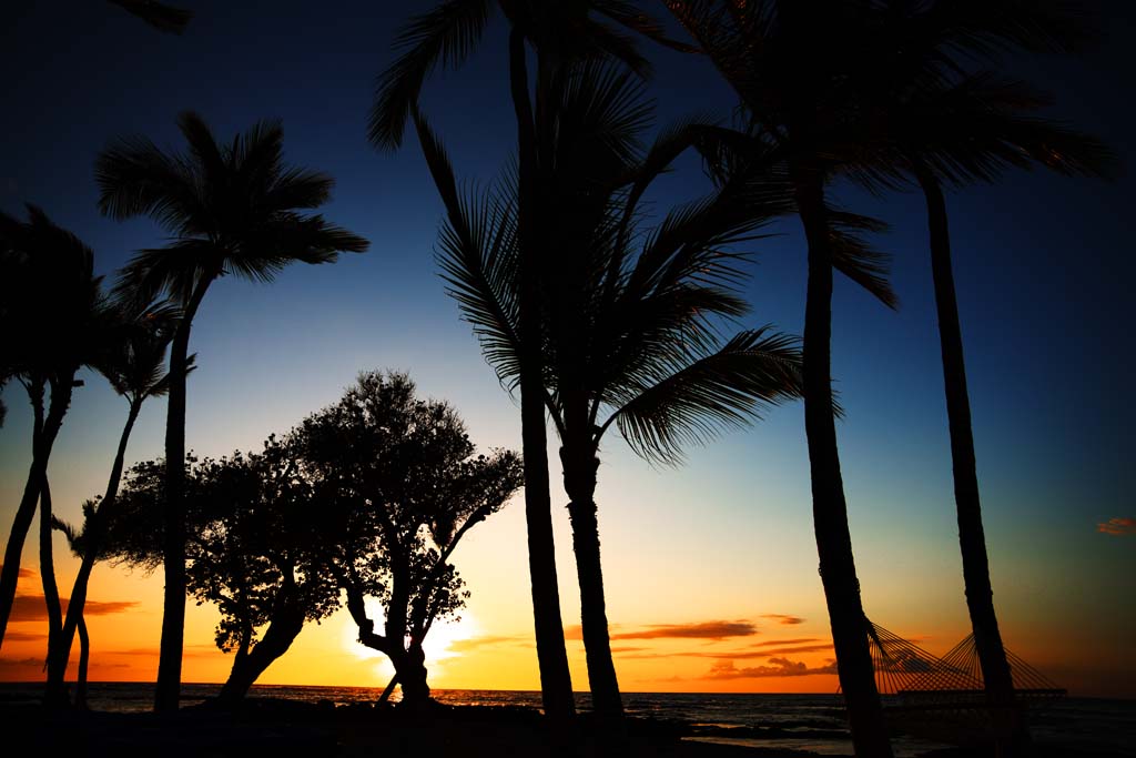 Foto, materieel, vrij, landschap, schilderstuk, bevoorraden foto,Hawaii Island beach, , , , 