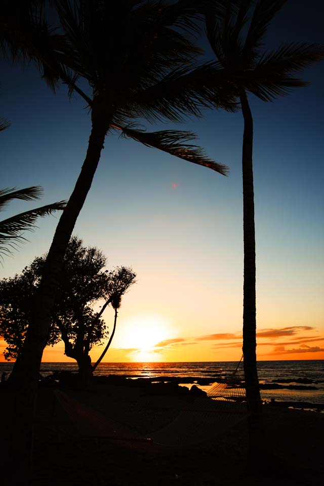 Foto, materieel, vrij, landschap, schilderstuk, bevoorraden foto,Hawaii Island beach, , , , 