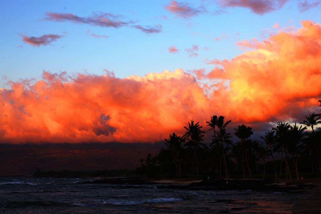 Foto, materieel, vrij, landschap, schilderstuk, bevoorraden foto,Hawaii Island beach, , , , 