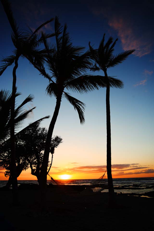 Foto, materiell, befreit, Landschaft, Bild, hat Foto auf Lager,Hawaii Island Beach, , , , 