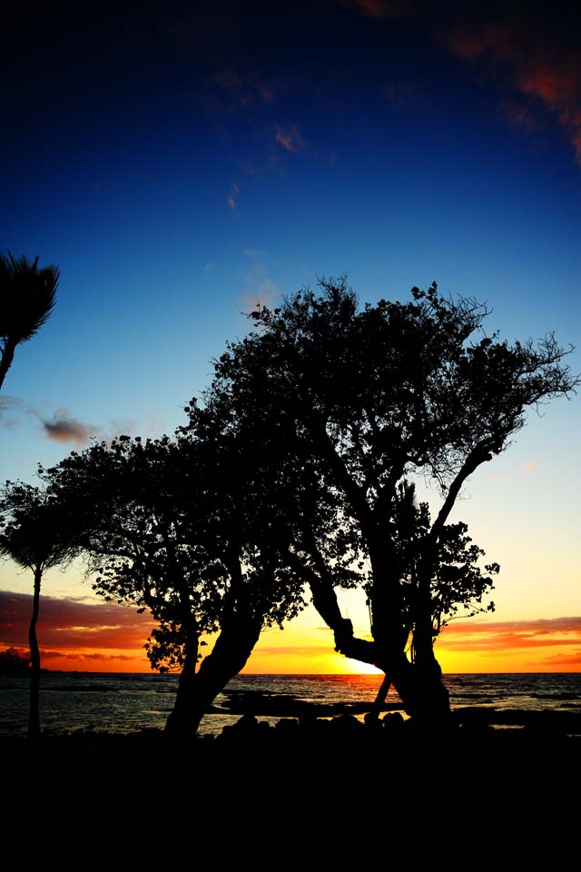 Foto, materieel, vrij, landschap, schilderstuk, bevoorraden foto,Hawaii Island beach, , , , 