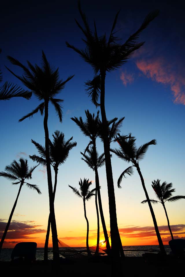 Foto, materiell, befreit, Landschaft, Bild, hat Foto auf Lager,Hawaii Island Beach, , , , 