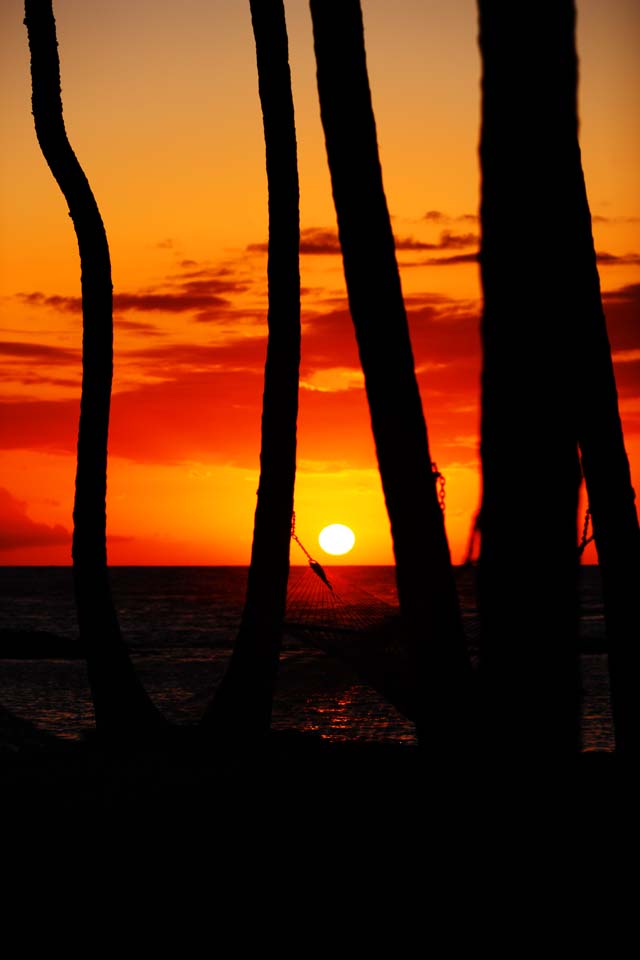 fotografia, materiale, libero il panorama, dipinga, fotografia di scorta,Tramonto Isola delle Hawaii, , , , 