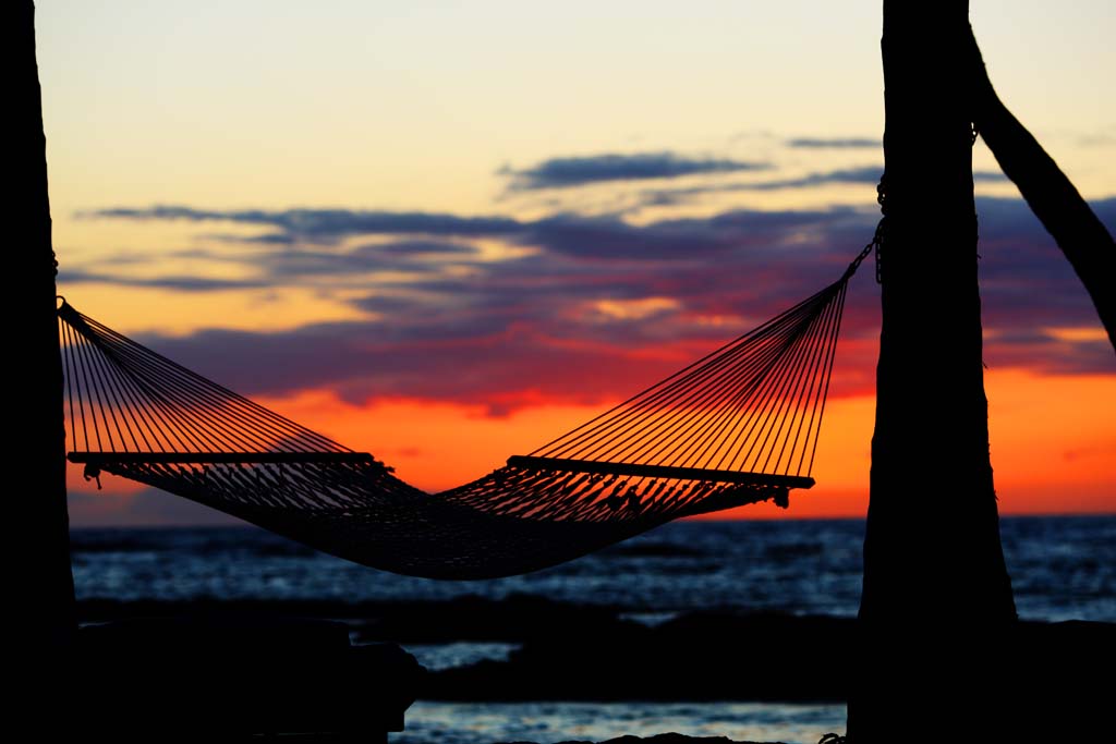 photo,material,free,landscape,picture,stock photo,Creative Commons,Hammock Hawaii Island, , , , 