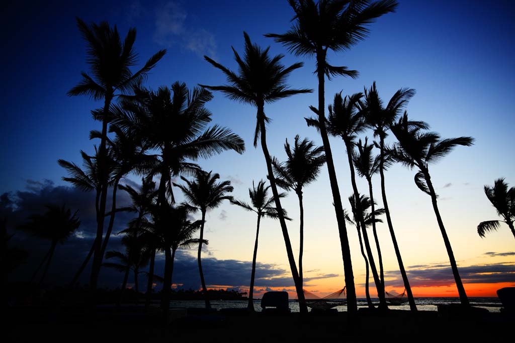 Foto, materieel, vrij, landschap, schilderstuk, bevoorraden foto,Hawaii Island beach, , , , 