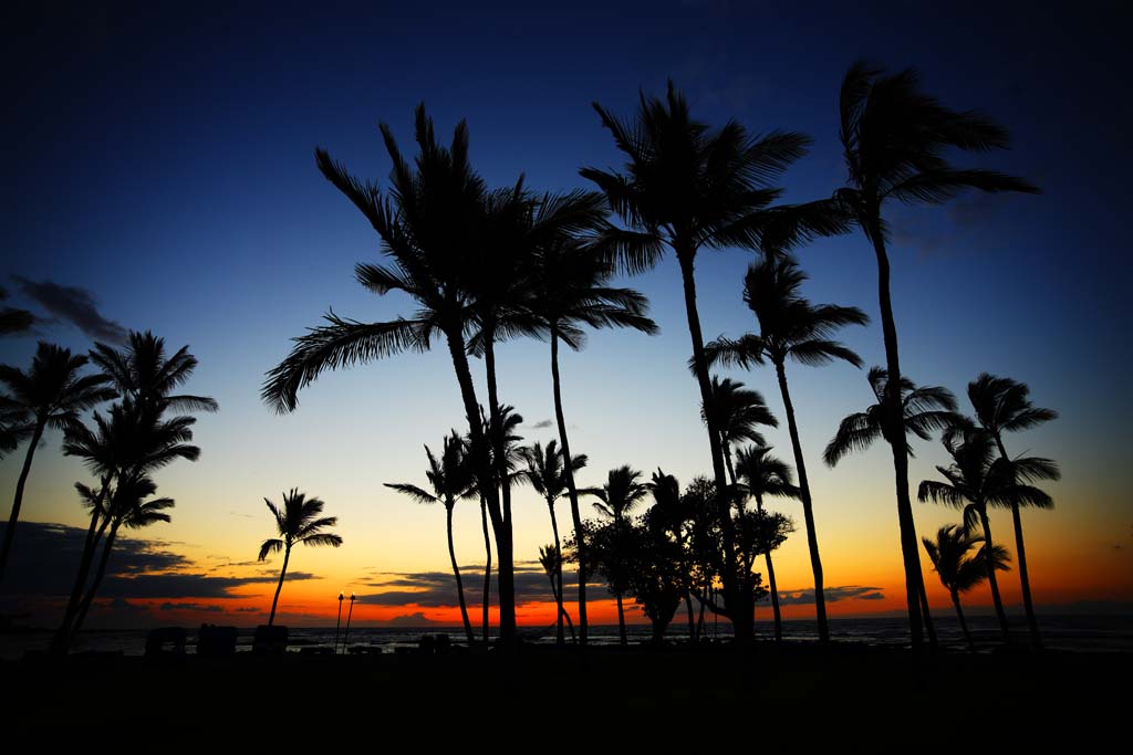 Foto, materieel, vrij, landschap, schilderstuk, bevoorraden foto,Hawaii Island beach, , , , 