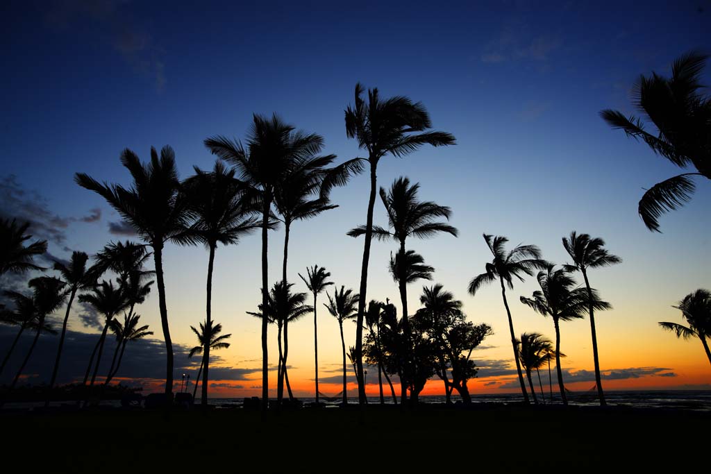 fotografia, materiale, libero il panorama, dipinga, fotografia di scorta,Hawaii spiaggia dell'isola, , , , 