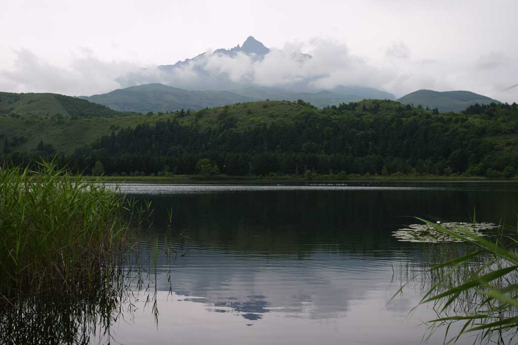 fotografia, materiale, libero il panorama, dipinga, fotografia di scorta,Innamorato bianco, superficie di acqua, montagna, cielo, nube