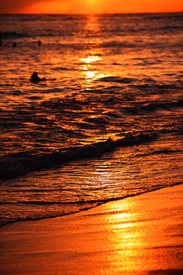 Foto, materieel, vrij, landschap, schilderstuk, bevoorraden foto,Waikiki Beach., , , , 