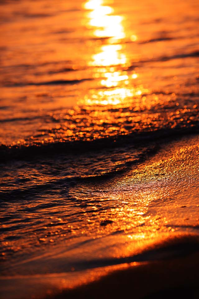 Foto, materiell, befreit, Landschaft, Bild, hat Foto auf Lager,Waikiki Beach, , , , 