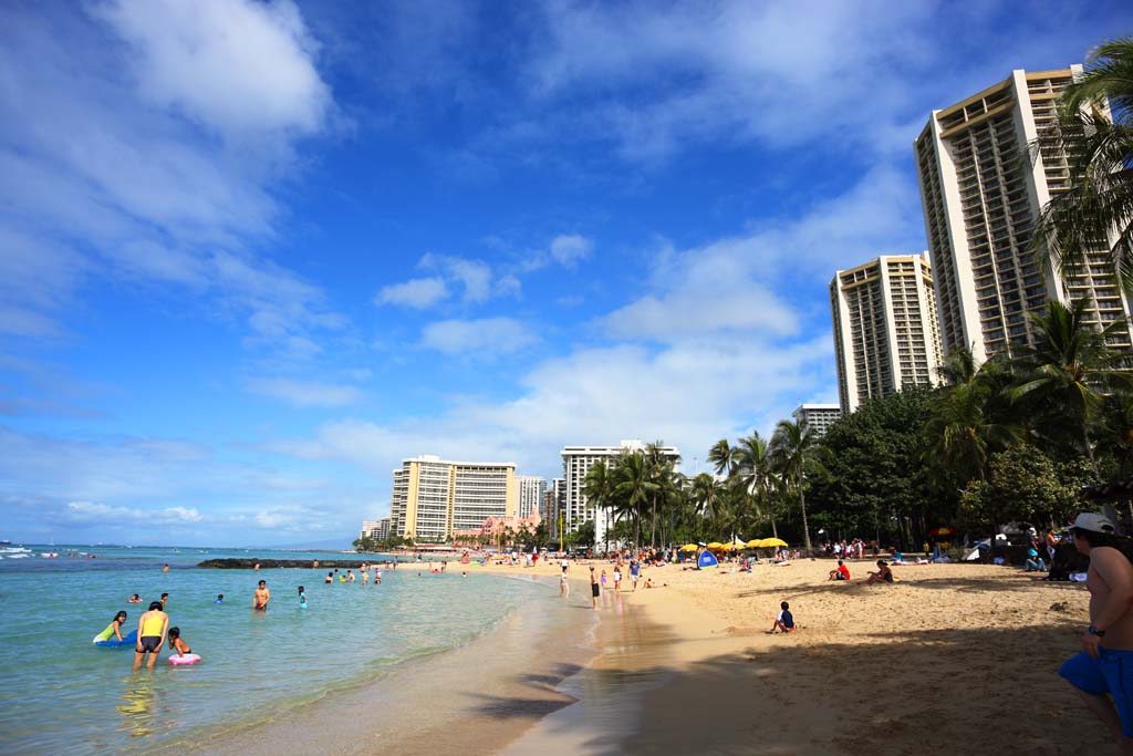 fotografia, materiale, libero il panorama, dipinga, fotografia di scorta,La spiaggia di Waikiki, , , , 