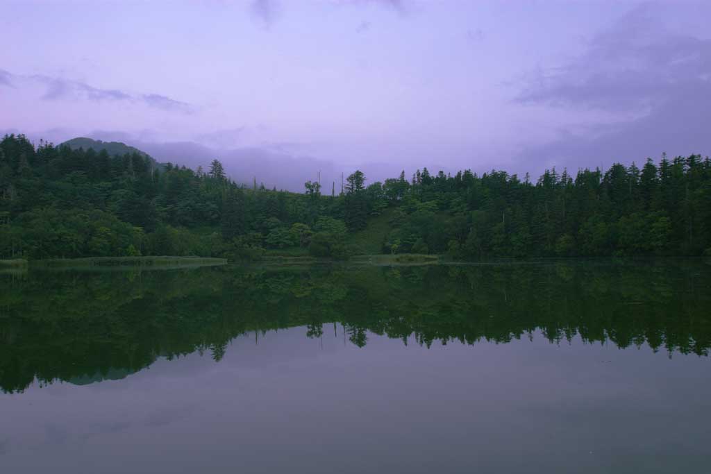 photo, la matire, libre, amnage, dcrivez, photo de la rserve,Matin tang Himenuma, surface d'eau, arbre, ciel, HimenumPond