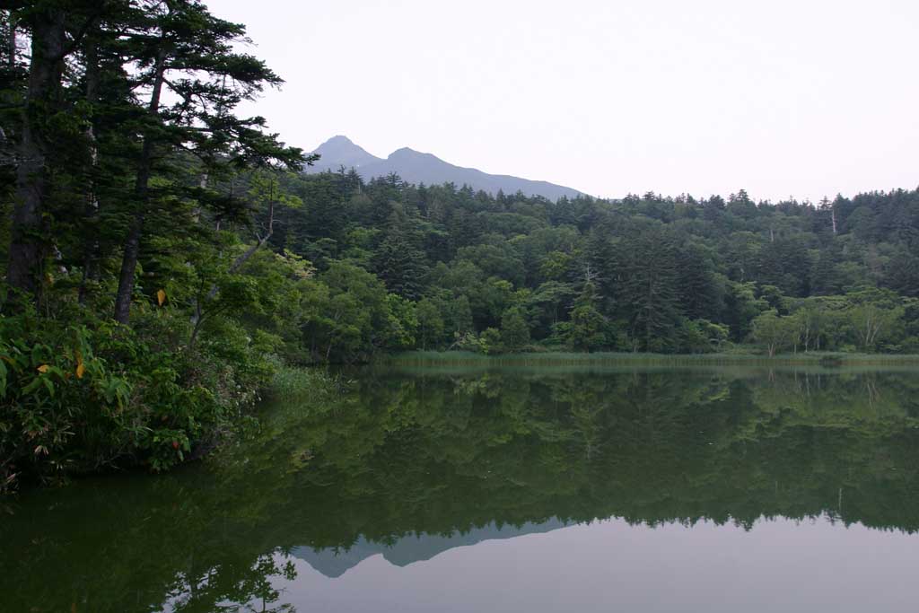 foto,tela,gratis,paisaje,fotografa,idea,Amanecer en el pantano de Himenuma., Superficie de agua, Montaa, Cielo, HimenumPond