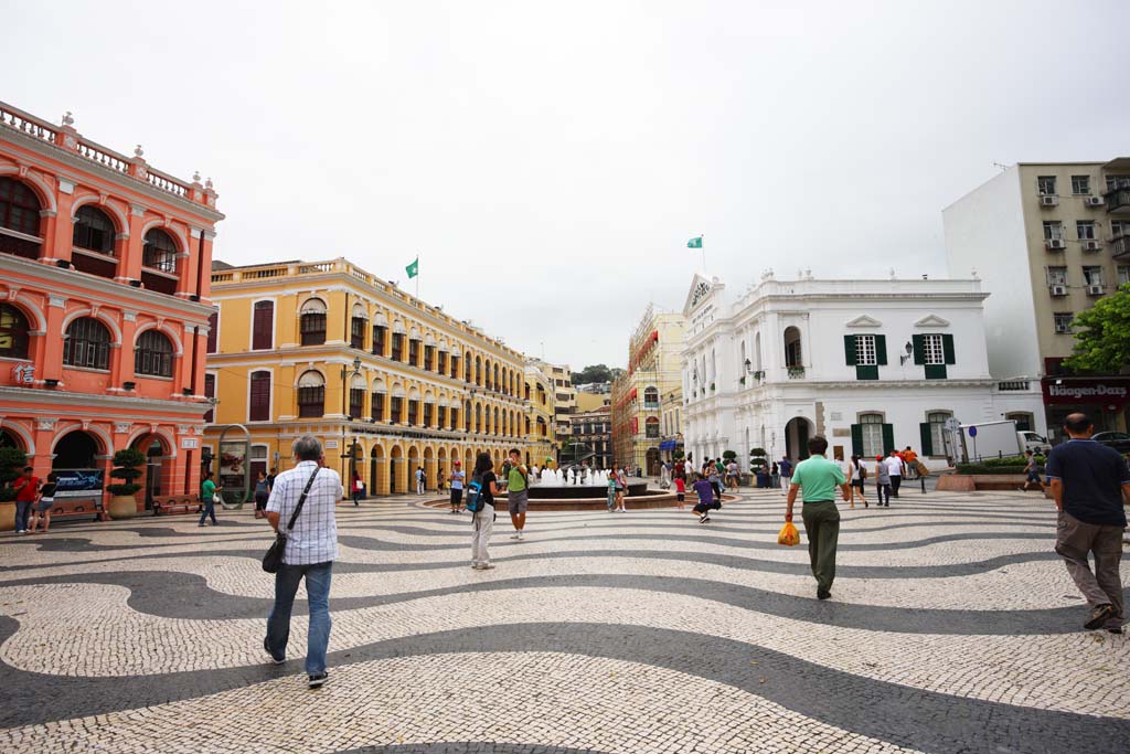 fotografia, material, livra, ajardine, imagine, proveja fotografia,Senado Square, , , , 