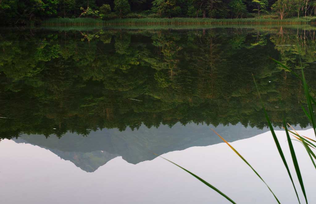 fotografia, materiale, libero il panorama, dipinga, fotografia di scorta,Riflessione di Mt. Rishiri-fuji, superficie di acqua, montagna, cielo, HimenumPond