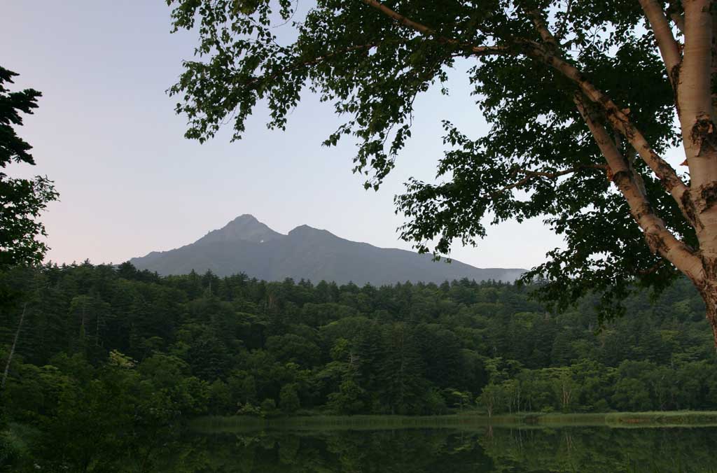 Foto, materiell, befreit, Landschaft, Bild, hat Foto auf Lager,Mt. Rishiri-fuji, Baum, Berg, Himmel, HimenumPond