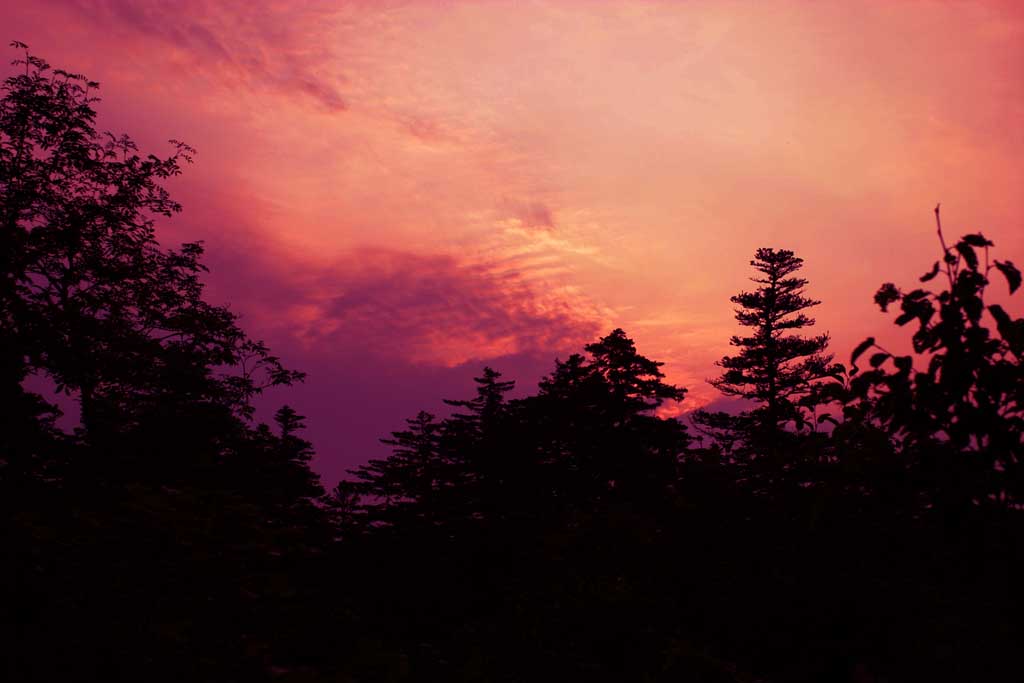 Foto, materiell, befreit, Landschaft, Bild, hat Foto auf Lager,Sonnenaufgangsglut in einem Holz, Sonnenaufgangsglut, rot, Himmel, HimenumPond