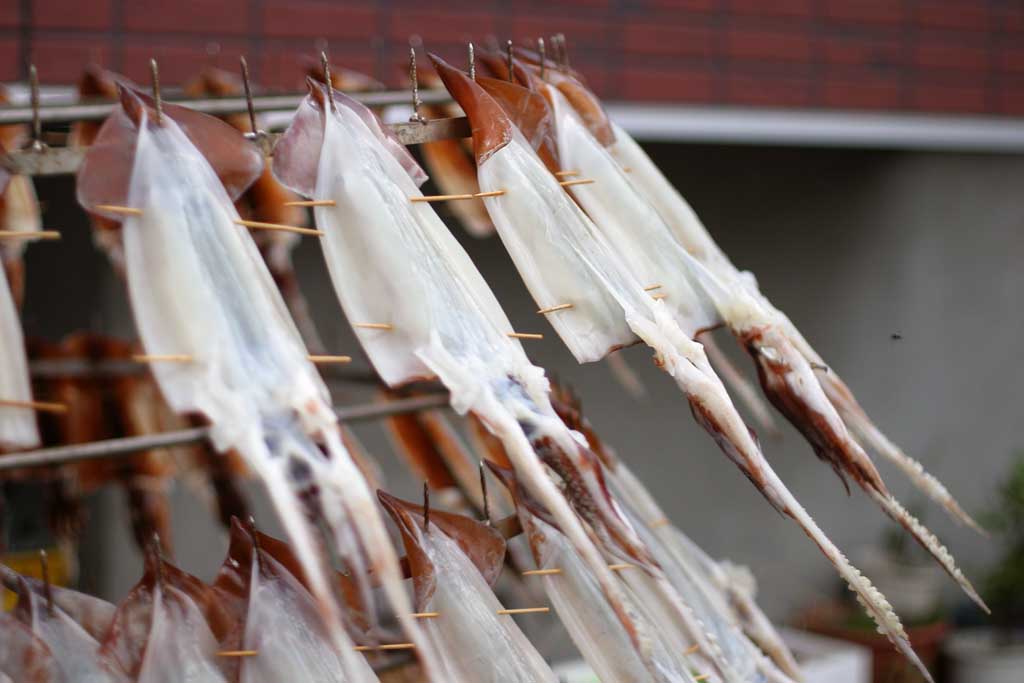 Foto, materieel, vrij, landschap, schilderstuk, bevoorraden foto,Squid dorrer, Pijlinktvis, , , Gedroogde pijlinktvis