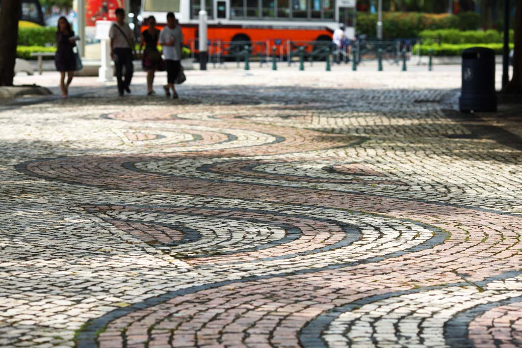 fotografia, materiale, libero il panorama, dipinga, fotografia di scorta,Piazza delle Rose, , , , 