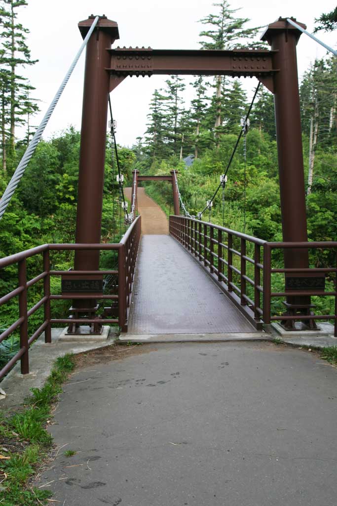 photo,material,free,landscape,picture,stock photo,Creative Commons,Catenary bridge, catenary bridge, , bridge, HimenumPond