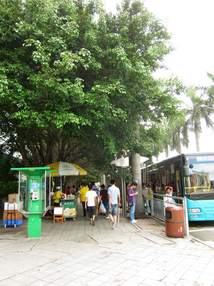 fotografia, materiale, libero il panorama, dipinga, fotografia di scorta,La citt di Shenzhen, , , , 