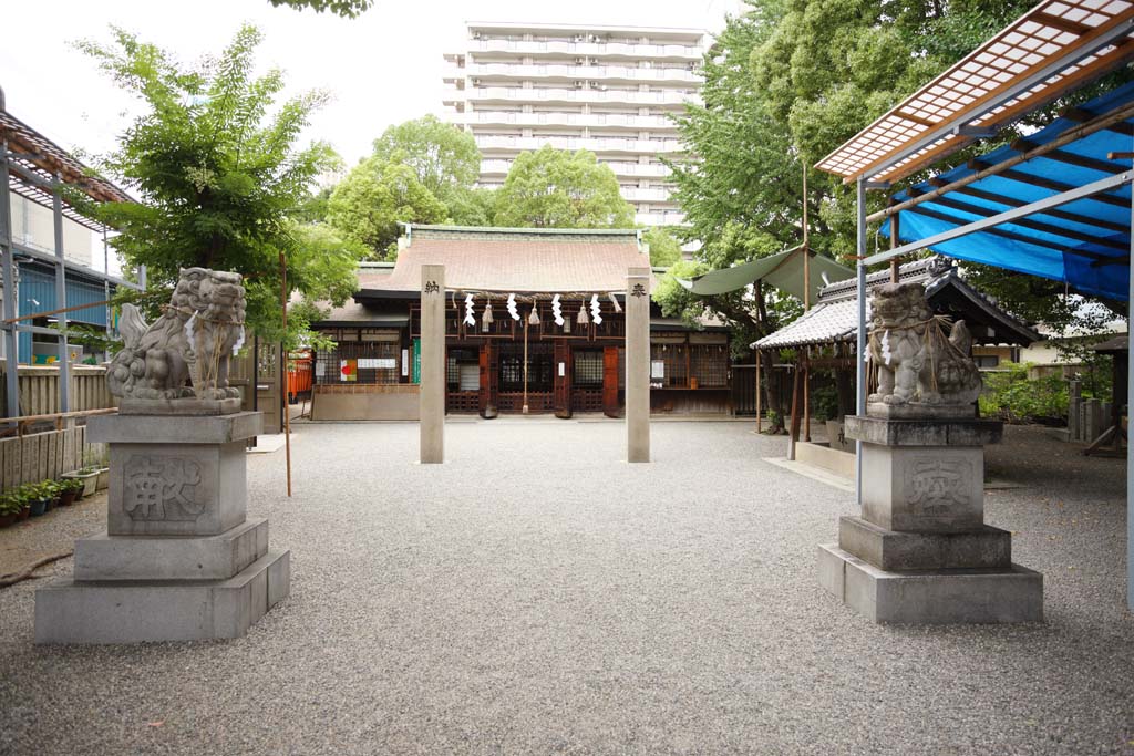 fotografia, materiale, libero il panorama, dipinga, fotografia di scorta,Santuario Hirota, , , , 