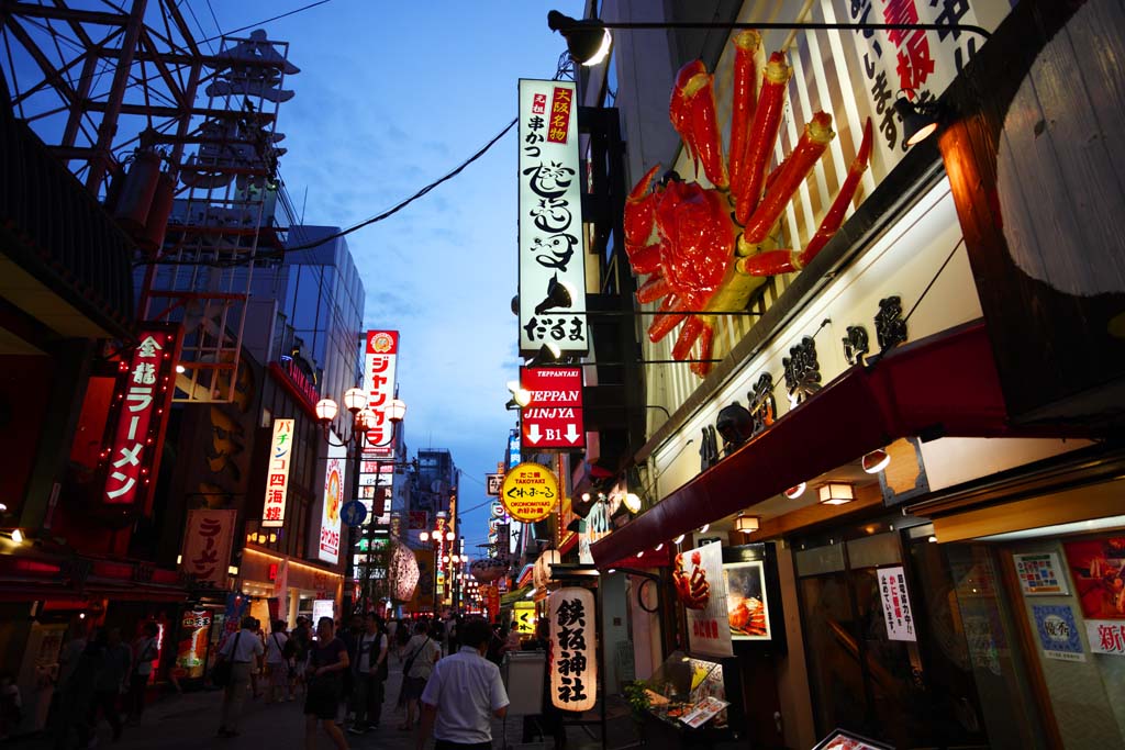 fotografia, materiale, libero il panorama, dipinga, fotografia di scorta,Dotonbori, , , , 