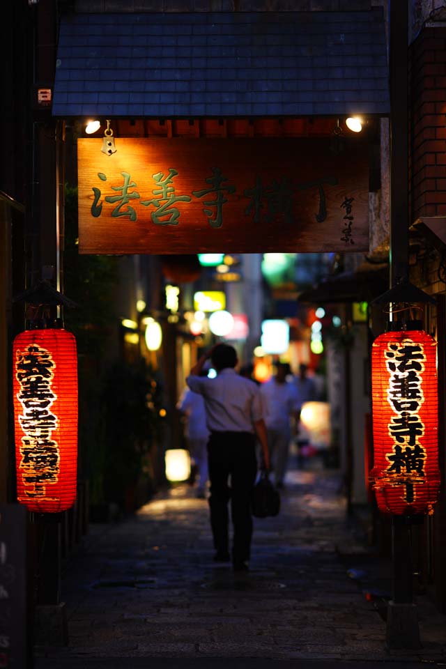 photo, la matire, libre, amnage, dcrivez, photo de la rserve,Hozenji alley, , , , 