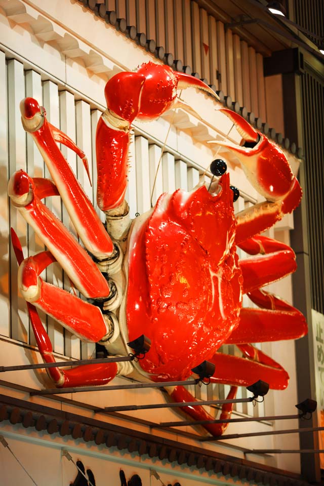 foto,tela,gratis,paisaje,fotografa,idea,Dotonbori, , , , 