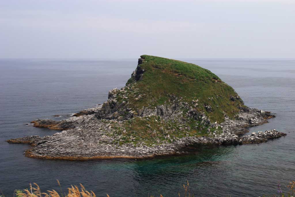 fotografia, materiale, libero il panorama, dipinga, fotografia di scorta,Paese indipendente di seafowls, isola, pietra, gabbiano, 