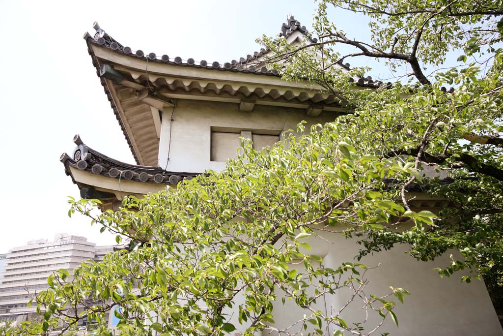 Foto, materieel, vrij, landschap, schilderstuk, bevoorraden foto,Osaka Castle Inuiyagura, , , , 