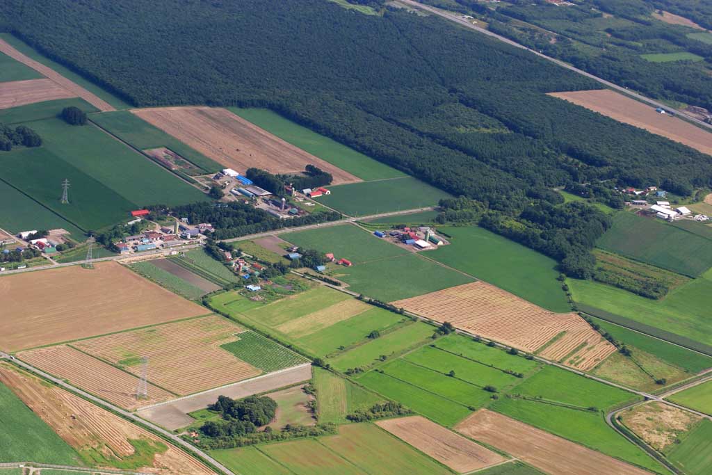 Foto, materiell, befreit, Landschaft, Bild, hat Foto auf Lager,Bebauen Sie Dorf, Feld, Dorf, Ernte, Weg