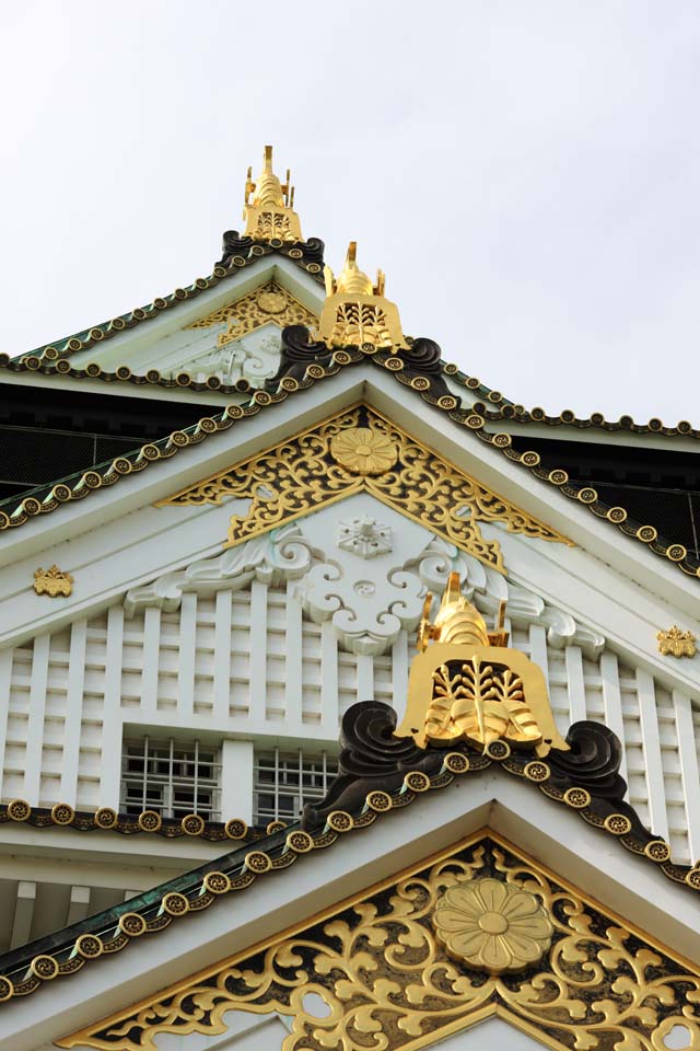 photo,material,free,landscape,picture,stock photo,Creative Commons,Tower of Osaka Castle, , , , 